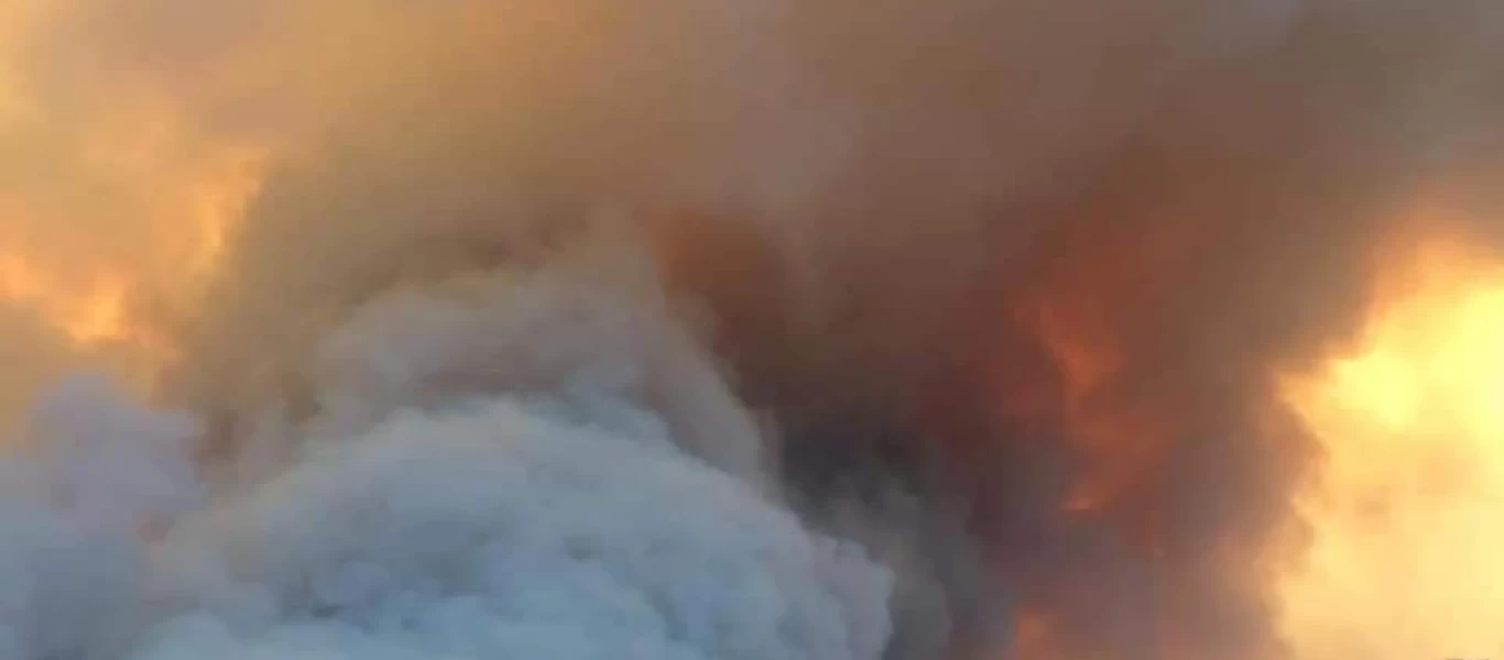 Αλγερία: Τουλάχιστον 69 νεκροί στις πυρκαγιές που μαίνονται